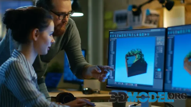 Who is a 3D-generalist and what does he do?
