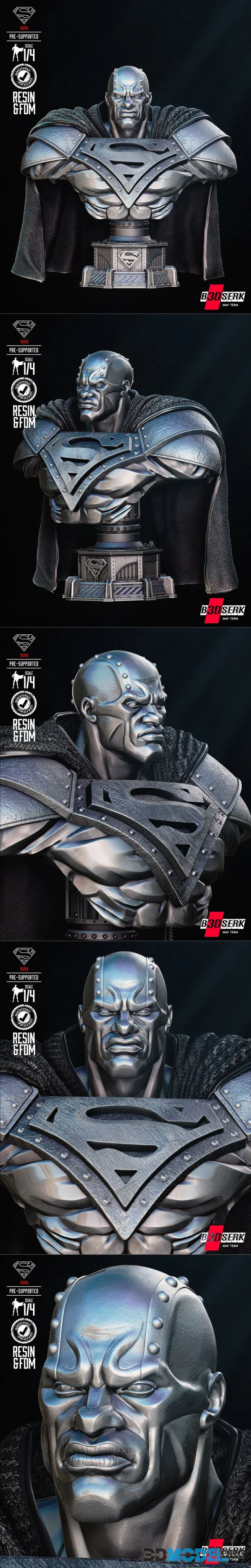 B3DSERK - Steel Bust Portrait – Printable