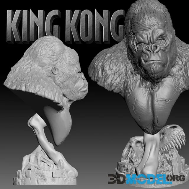 Kong Torso Base Life Size – Printable