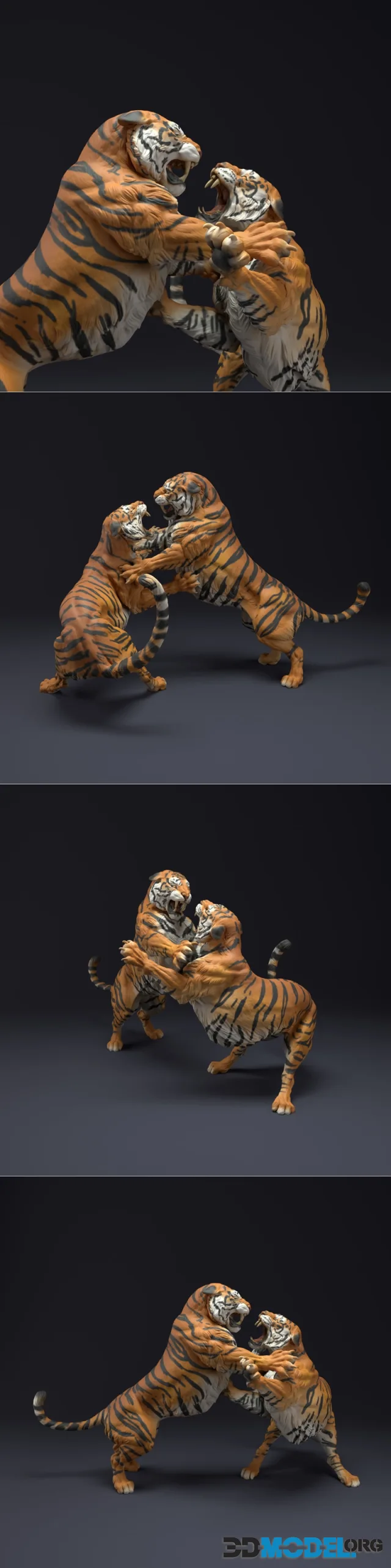 Bengal Tigers Fight – Printable
