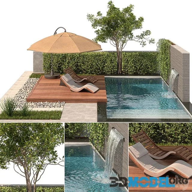 Backyard with Pool & plants & Furniture