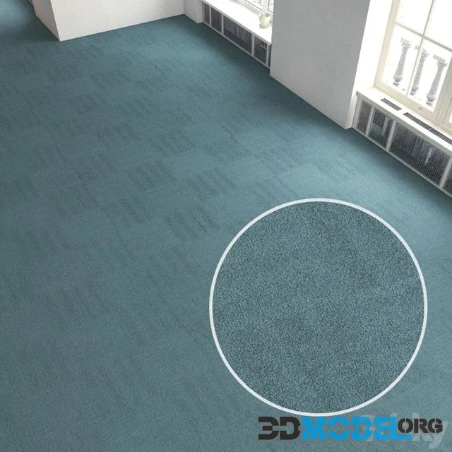 Carpet covering 209