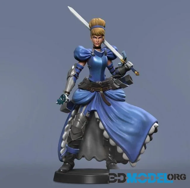 Cinderella Warrior