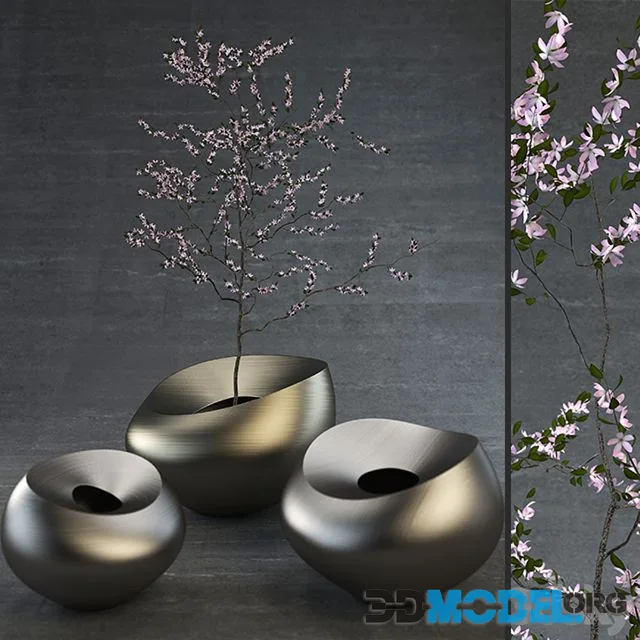Decorative Vases