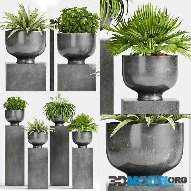 PLANT-54