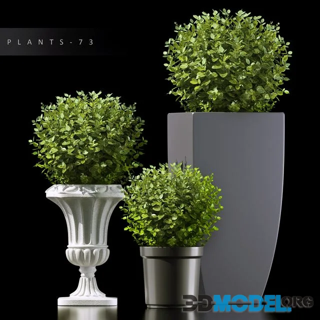 PLANTS 73