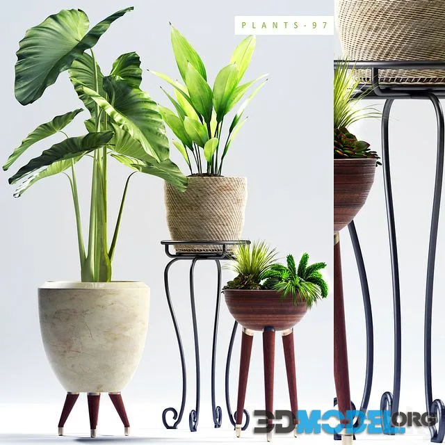 PLANTS 97