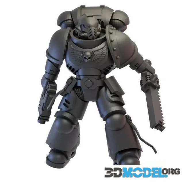 Primary Space Warrior Melee Combatants