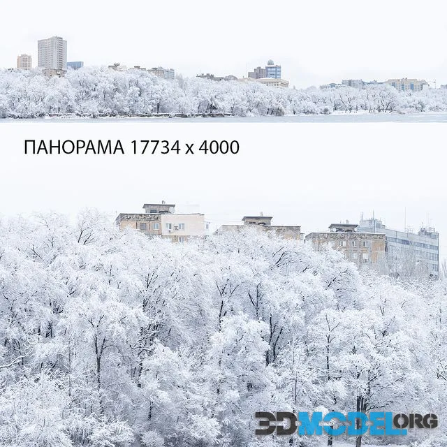Winter panorama