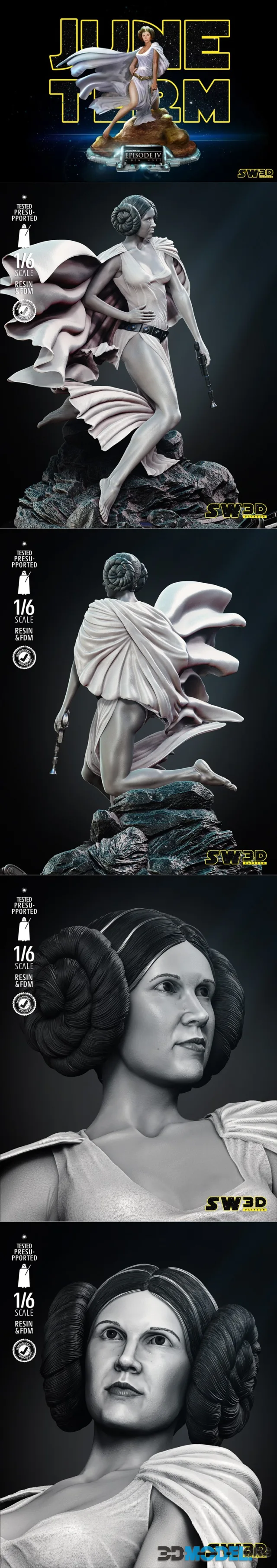 SW3D - Leia Sculpture – Printable