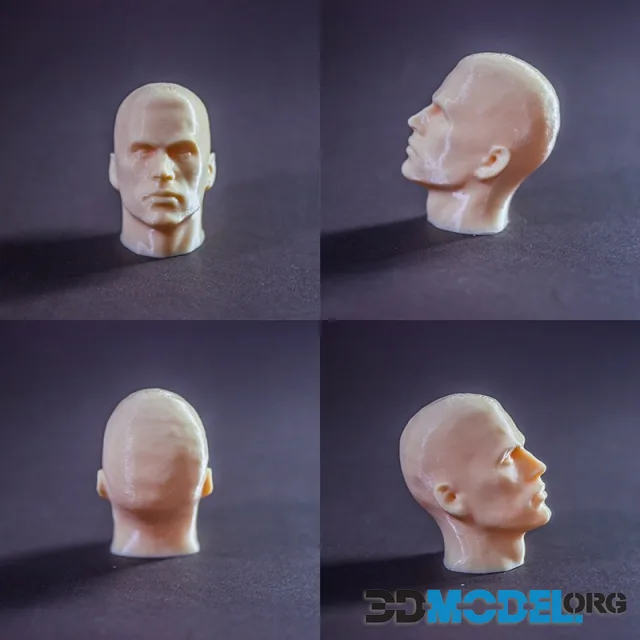 Commander Shepard Head – Printable