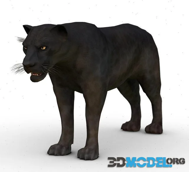 3D Black Panther
