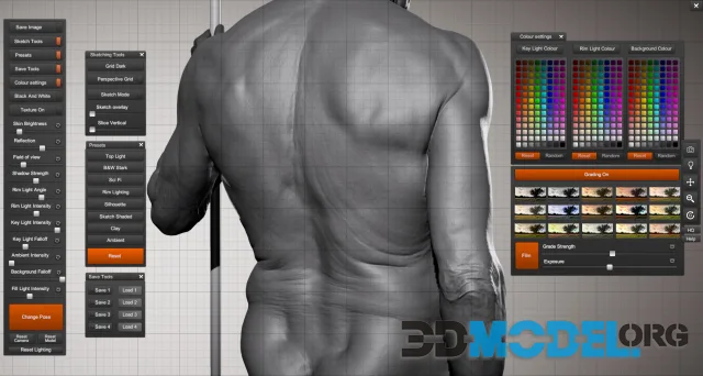 Anatomy 360: High-quality Photographic References