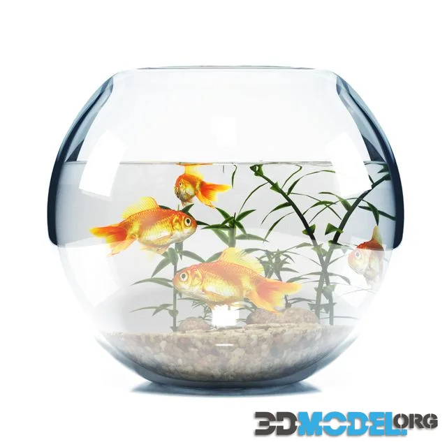 BOWL AQUARIUM