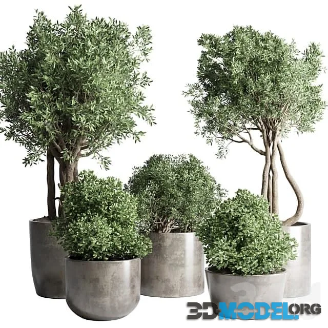 Collection Outdoor Indoor plant 53 concrete dirt vase pot tree bush