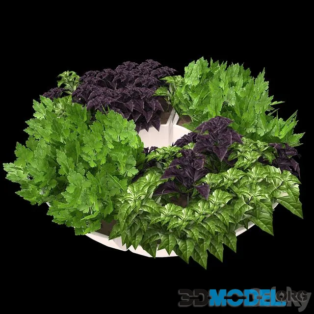 Decor with herbs