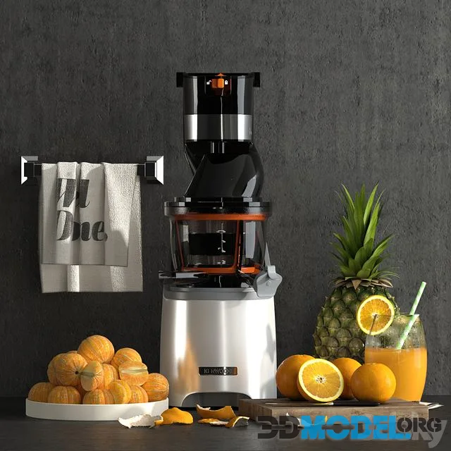 Fruit juicer