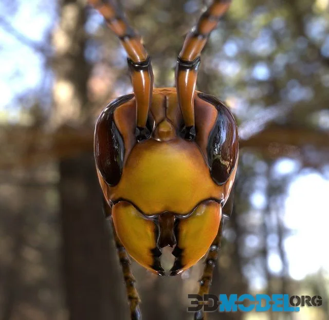 Hovering wasp