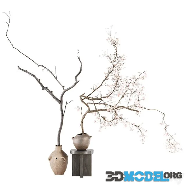 Indoor Plant 03
