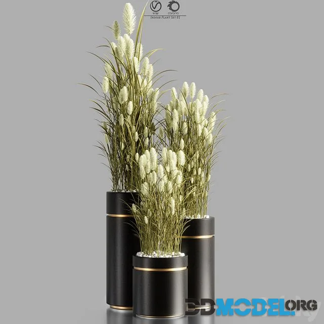 Indoor_Plant_Set_81