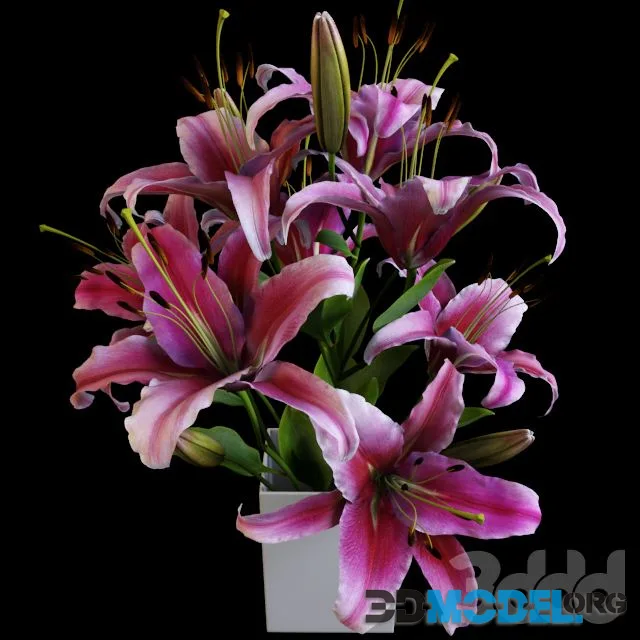 Lily bouquet