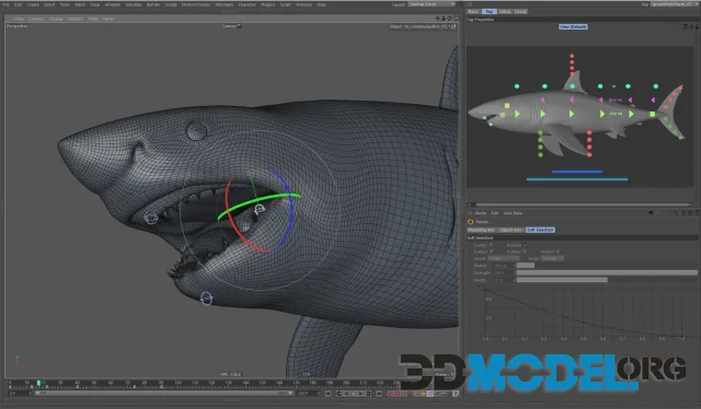 Meet - Cinema 4D