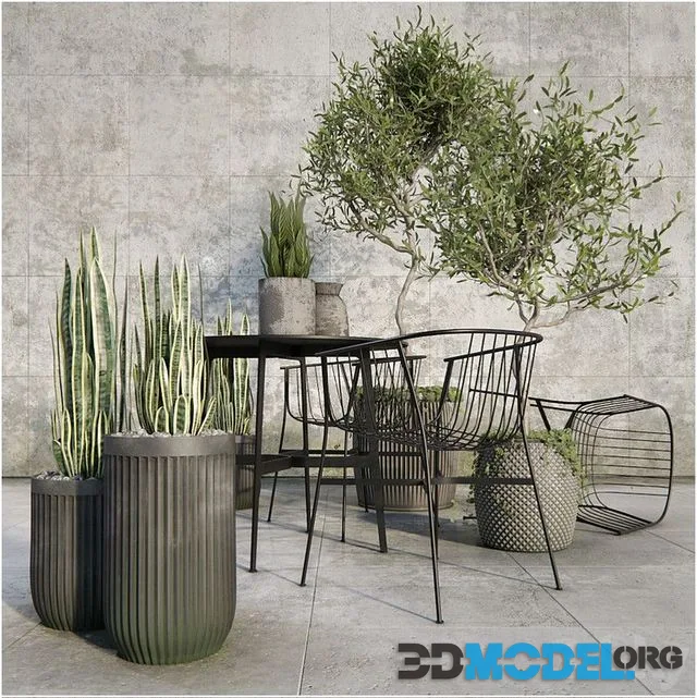 Outdoor_plant_set