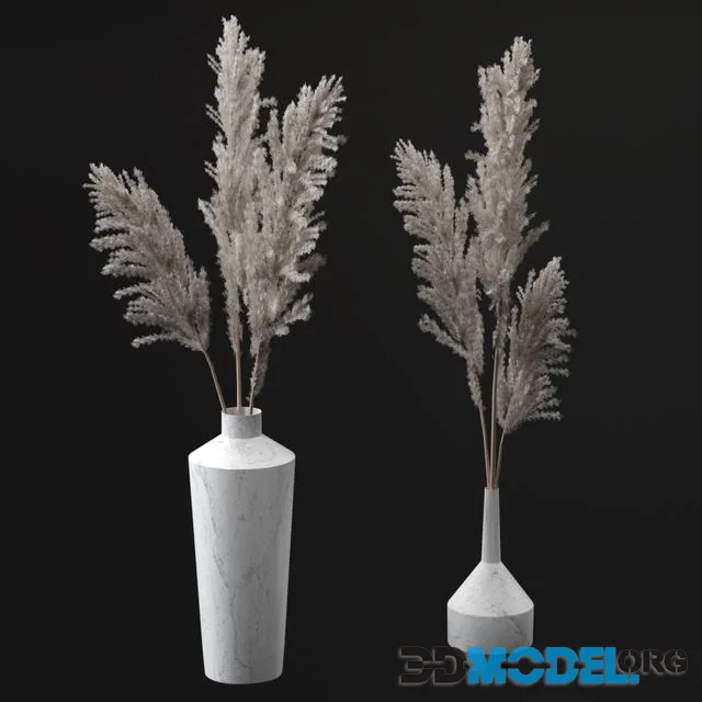 Pampas bouquets