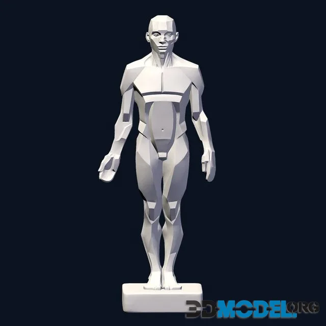 Planes Of The Body