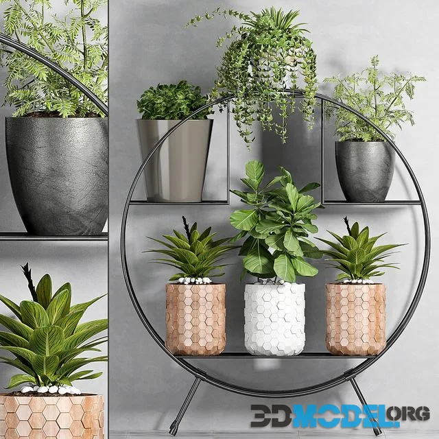 PLANT SET -87
