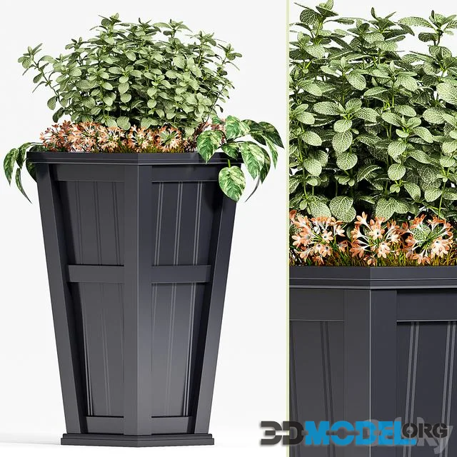 PLANT SET -88