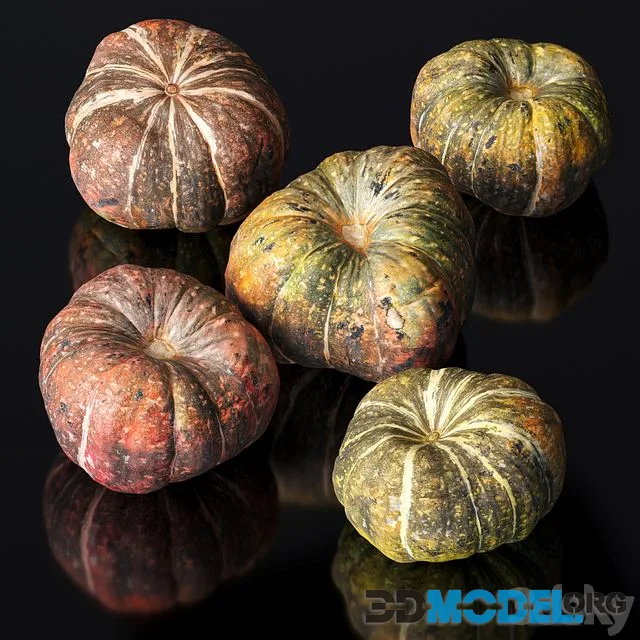 Pumpkin. 5