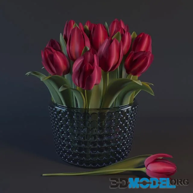 Red Tulips