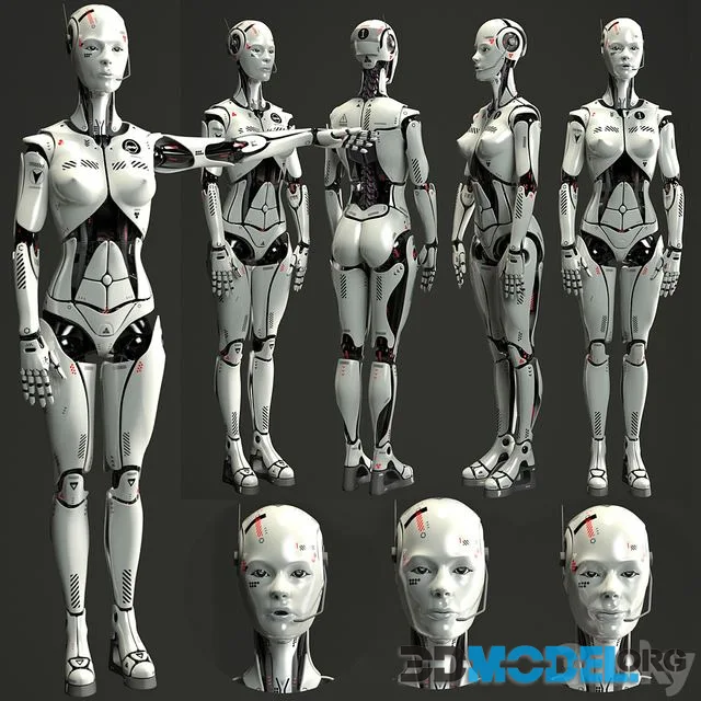 Robot