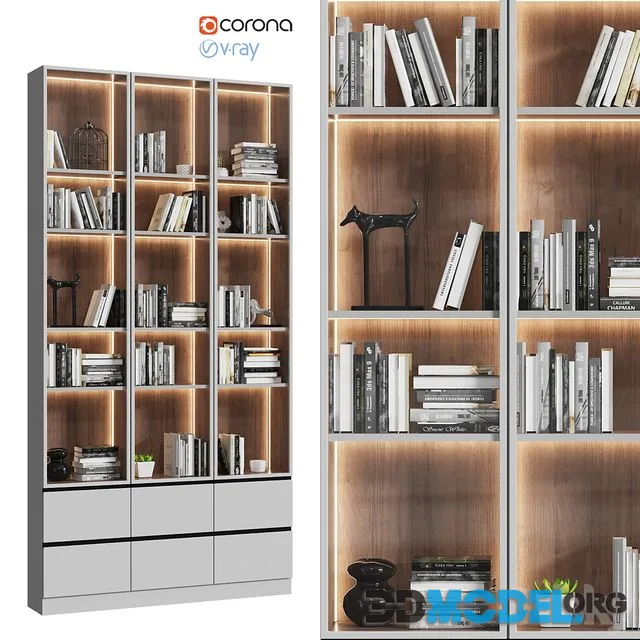 Showcase cabinet with books