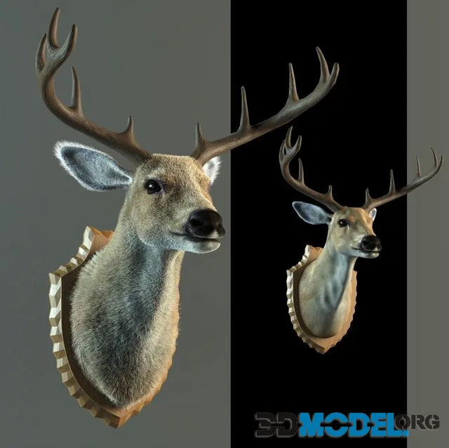 Stuffed deer
