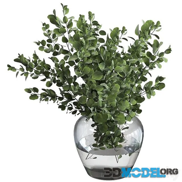 Bouquet green