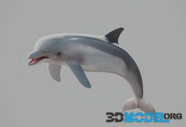 Dolphin (PBR)