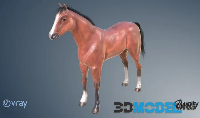 Game Horse (PBR)