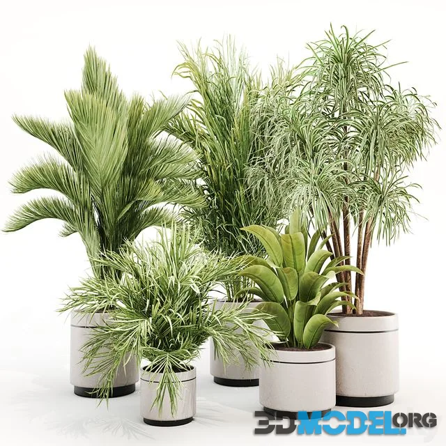 IndoorPlantSet015