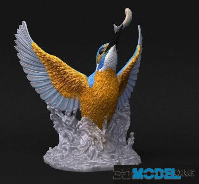 Kingfisher (MMU) Three Versions