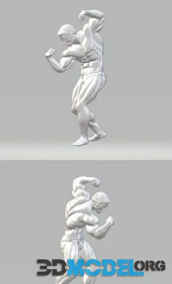 Mr.Universe