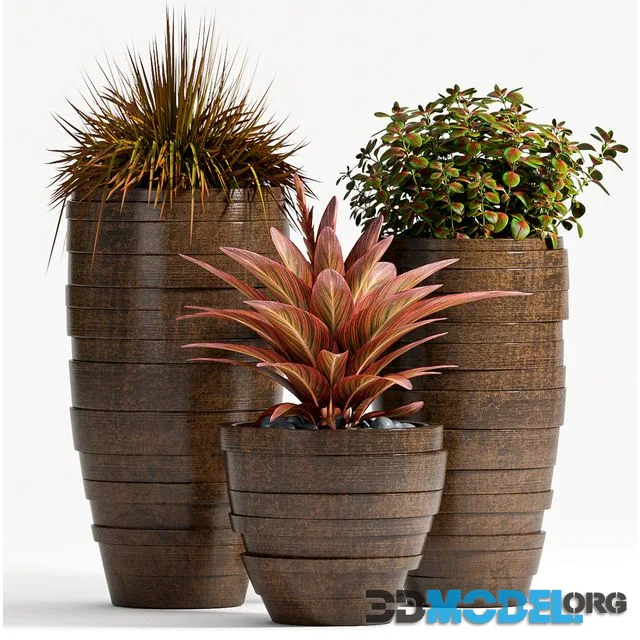 PLANT SET - 72