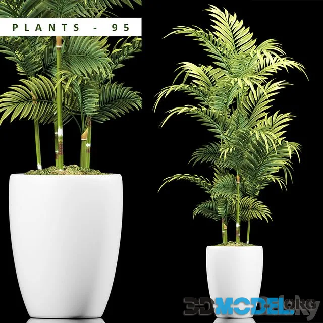 PLANTS 95