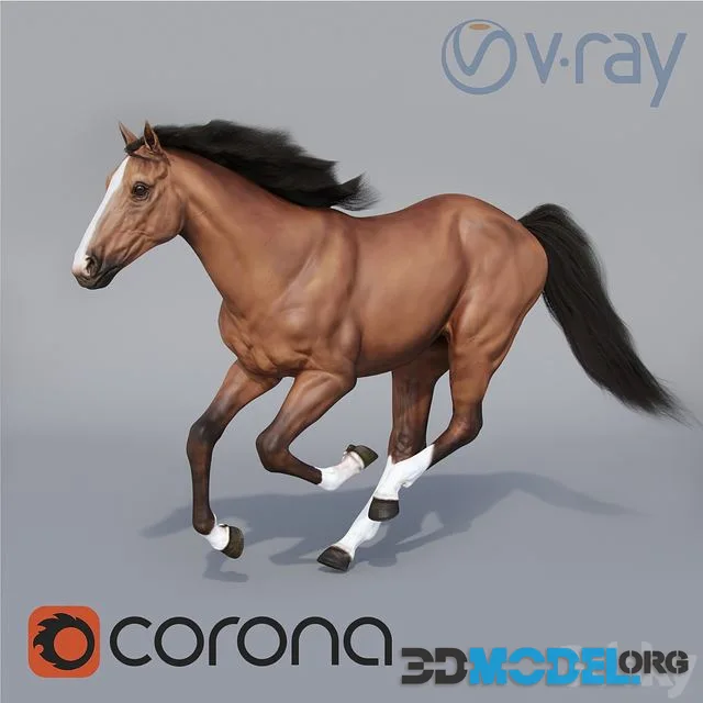 Running horse