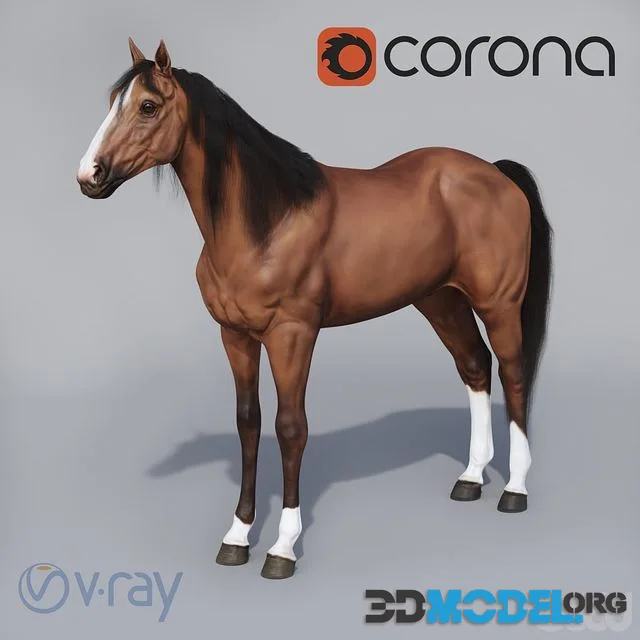Standing horse