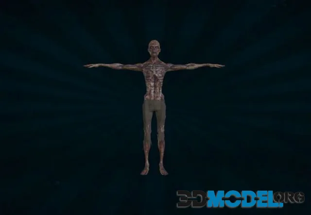 Zombie (PBR)