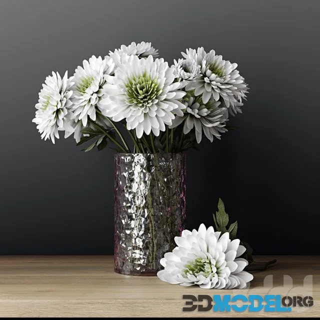 Chrysanthemums