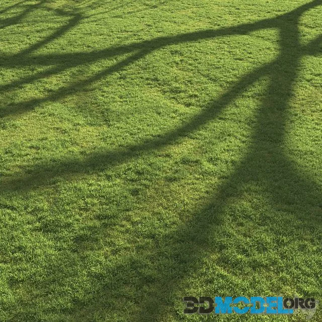 Flat grass