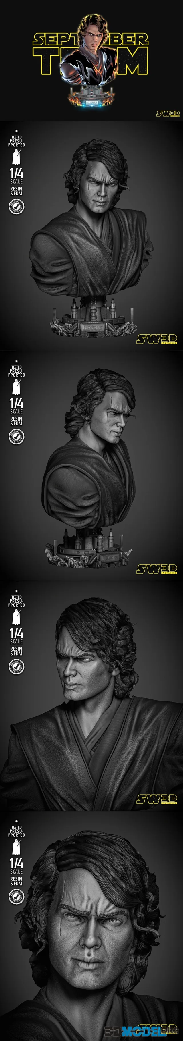 SW3D - Anakin Skywalker Bust Portrait – Printable